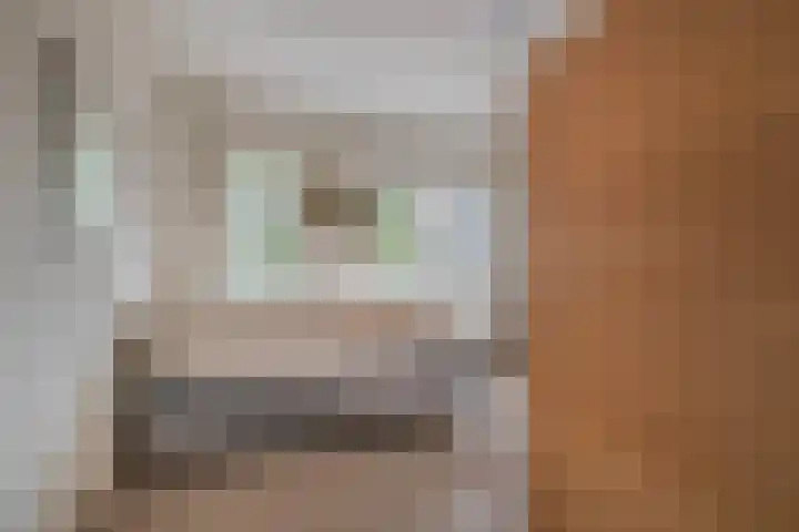 Watermunt 100 Tegelen thumbnail 24