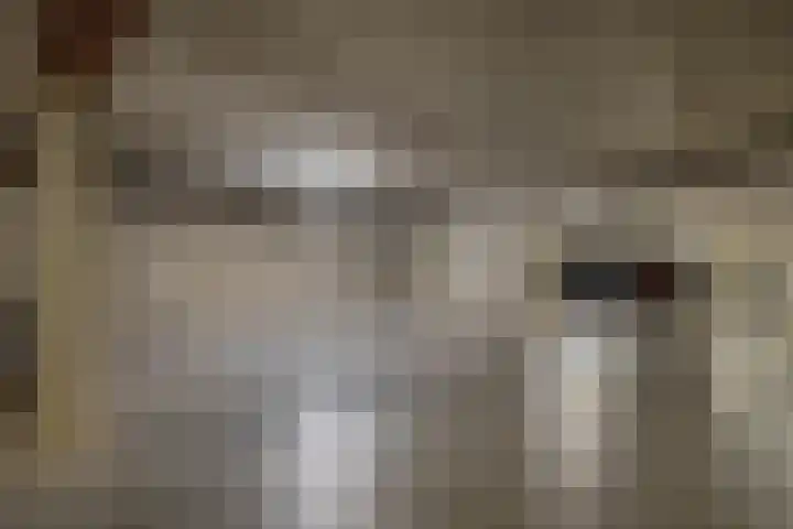 Watermunt 100 Tegelen thumbnail 30
