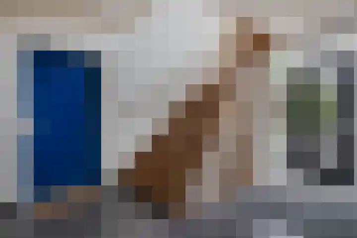 Watermunt 100 Tegelen thumbnail 31