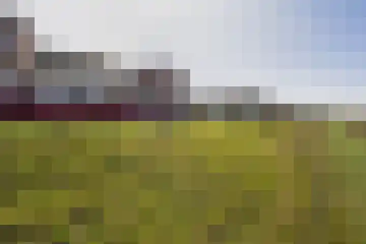 Watermunt 100 Tegelen thumbnail 33