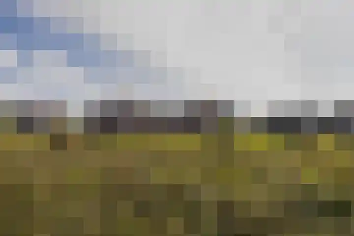 Watermunt 100 Tegelen thumbnail 34