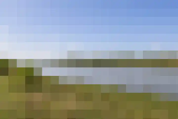 Watermunt 100 Tegelen thumbnail 35