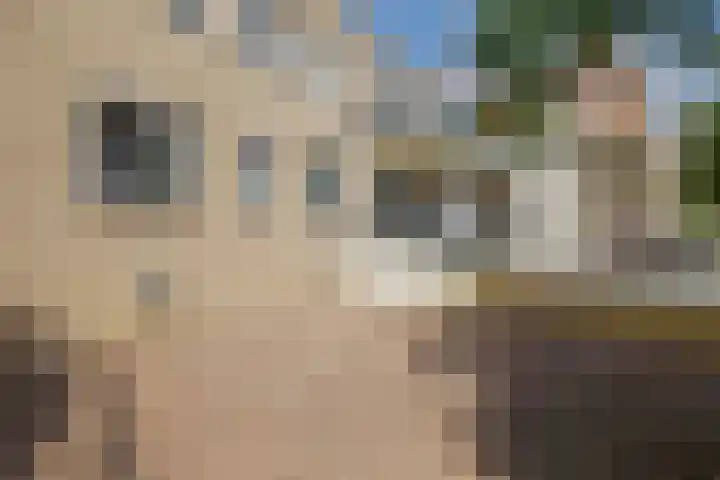 Watermunt 100 Tegelen thumbnail 4