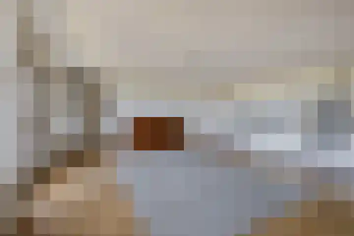 Watermunt 100 Tegelen thumbnail 8