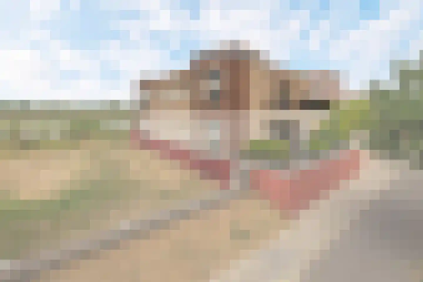 Watermunt 104 Tegelen thumbnail 23