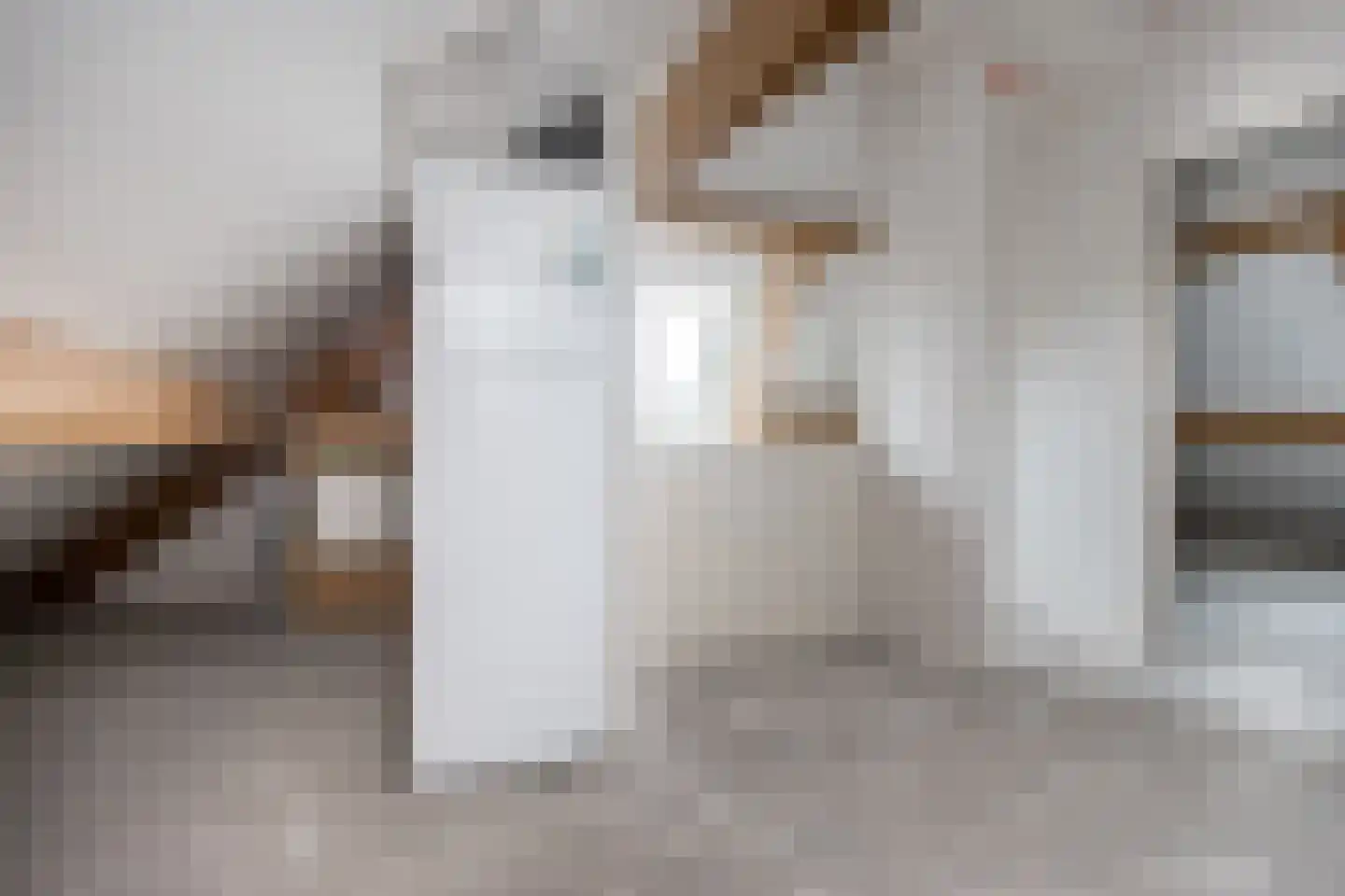 Watermunt 11 Aalst thumbnail 37