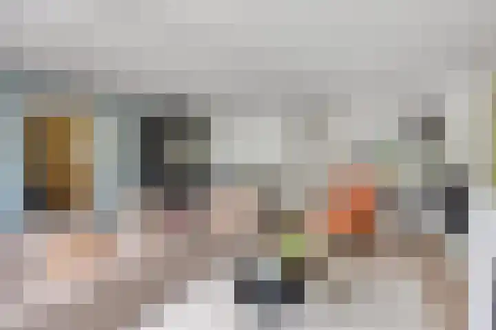 Watermunt 12 's-Hertogenbosch thumbnail 14