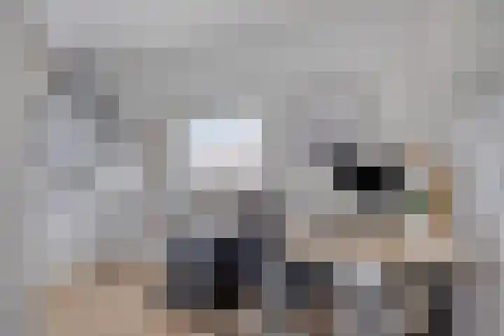 Watermunt 12 's-Hertogenbosch thumbnail 31