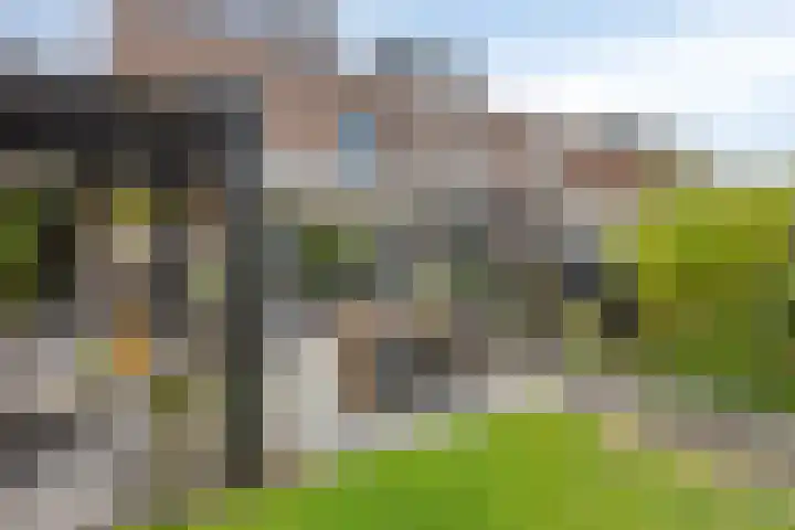 Watermunt 12 's-Hertogenbosch thumbnail 39