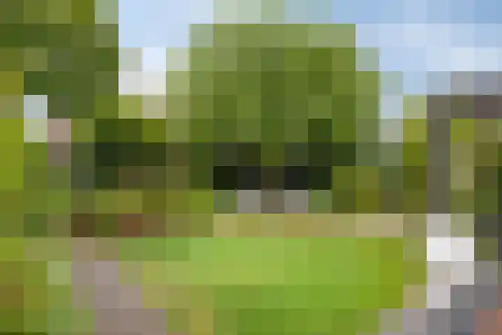 Watermunt 12 's-Hertogenbosch thumbnail 40
