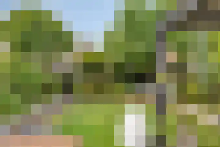 Watermunt 12 's-Hertogenbosch thumbnail 41
