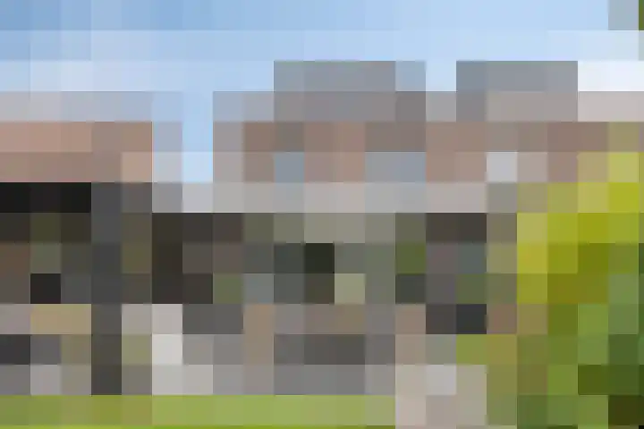 Watermunt 12 's-Hertogenbosch thumbnail 45