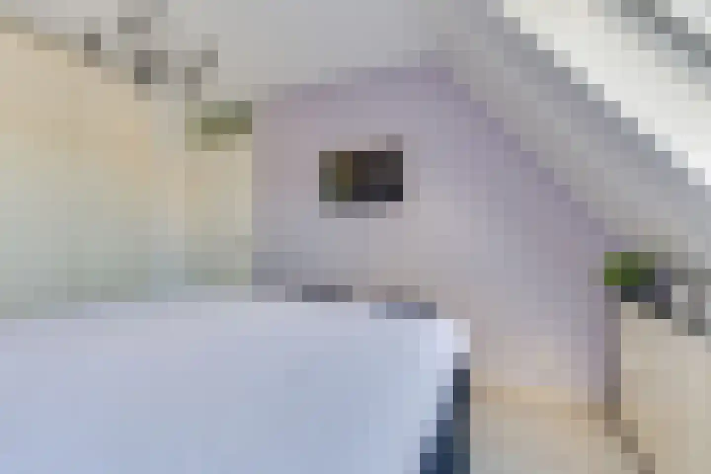 Watermunt 14 Oudkarspel thumbnail 23