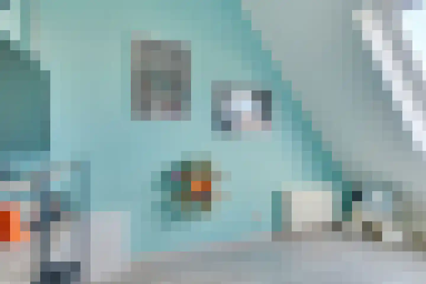 Watermunt 14 Oudkarspel thumbnail 26