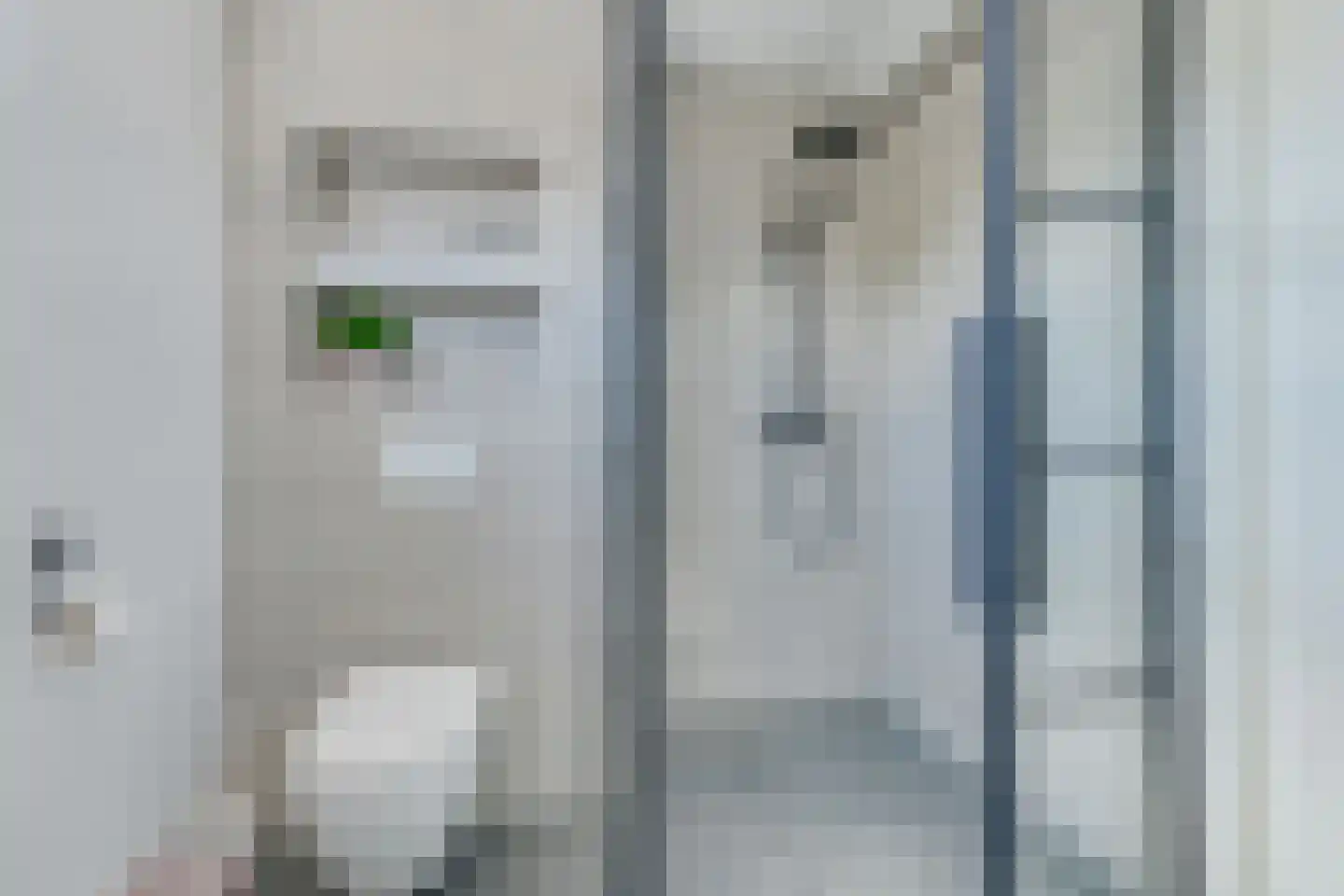 Watermunt 14 Oudkarspel thumbnail 34