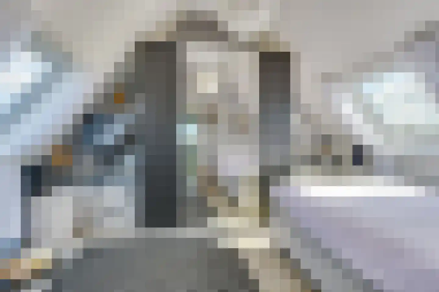 Watermunt 14 Oudkarspel thumbnail 38