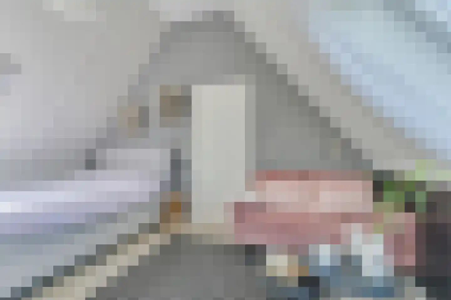 Watermunt 14 Oudkarspel thumbnail 39