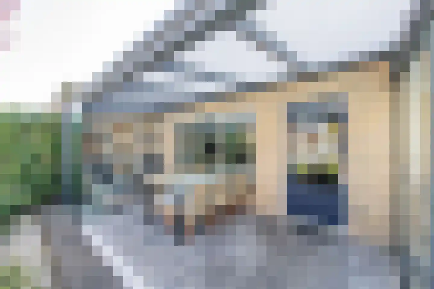 Watermunt 14 Oudkarspel thumbnail 52