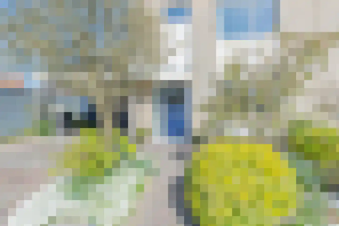 Watermunt 14 Oudkarspel thumbnail 56