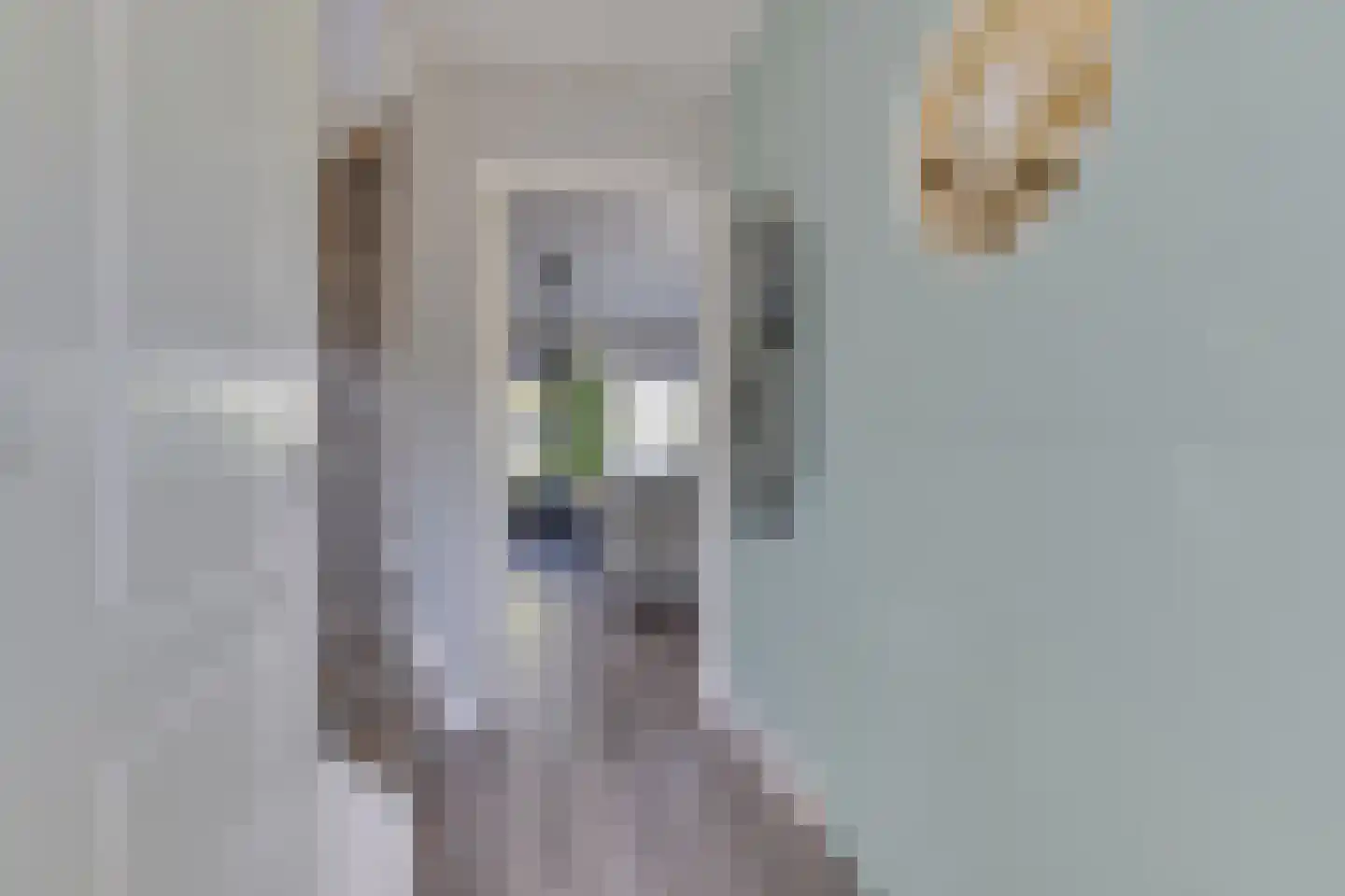 Watermunt 14 Oudkarspel thumbnail 7