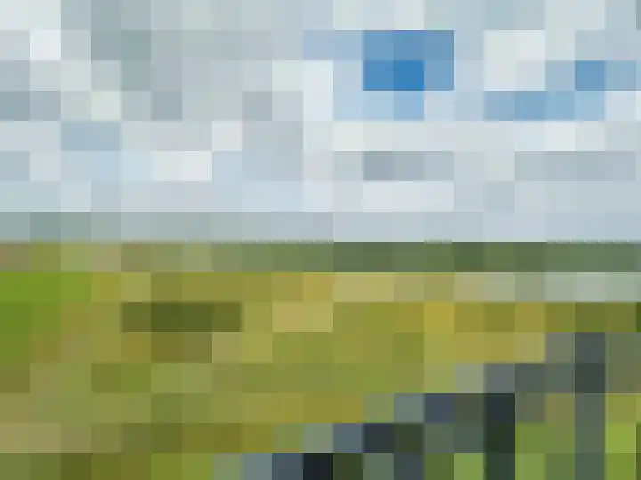 Watermunt 144 Tegelen thumbnail 41