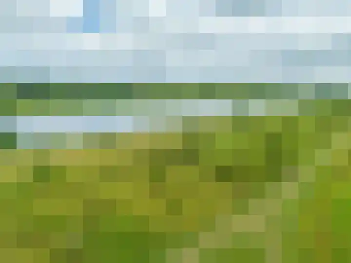 Watermunt 144 Tegelen thumbnail 6