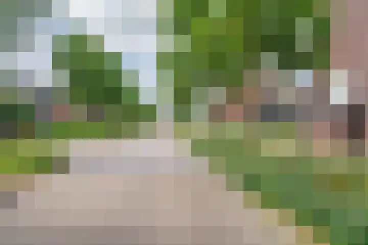 Watermunt 144 Tegelen thumbnail 69