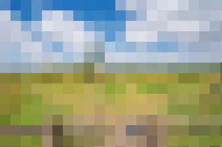 Watermunt 144 Tegelen thumbnail 72