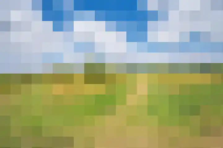 Watermunt 144 Tegelen thumbnail 73