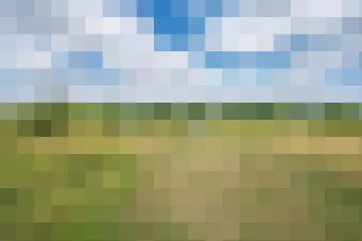 Watermunt 144 Tegelen thumbnail 74