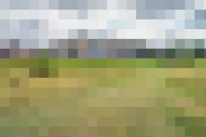Watermunt 144 Tegelen thumbnail 76