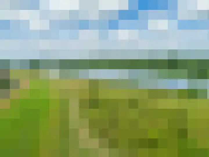 Watermunt 144 Tegelen thumbnail 77