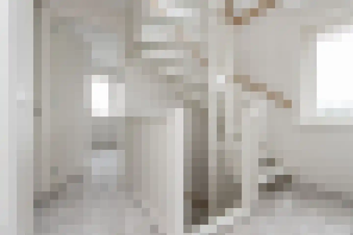 Watermunt 15 Aalst thumbnail 15