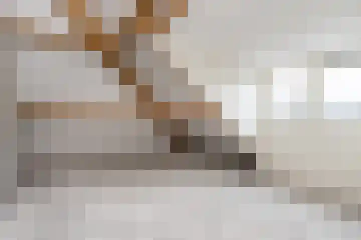 Watermunt 15 Aalst thumbnail 25