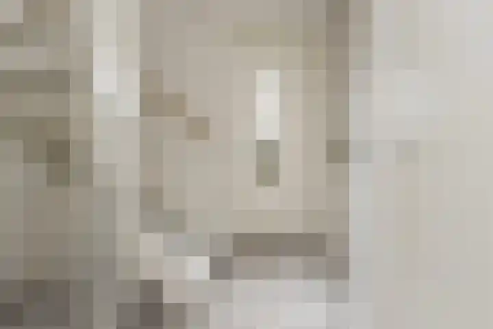 Watermunt 15 Aalst thumbnail 5