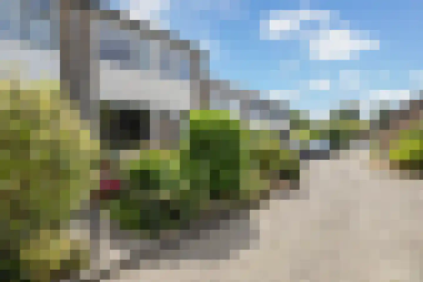 Watermunt 15 Leeuwarden thumbnail 7