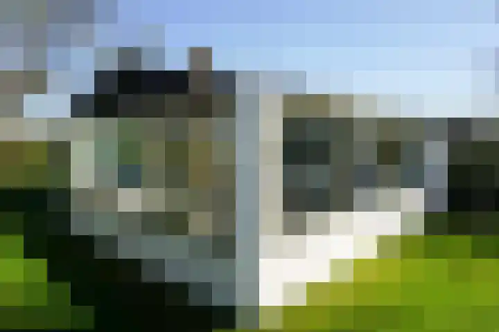 Watermunt 16 Julianadorp thumbnail 15