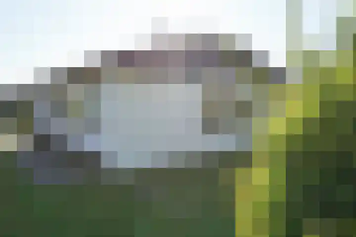 Watermunt 16 Julianadorp thumbnail 16