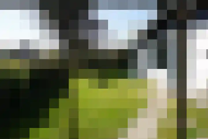 Watermunt 16 Julianadorp thumbnail 17