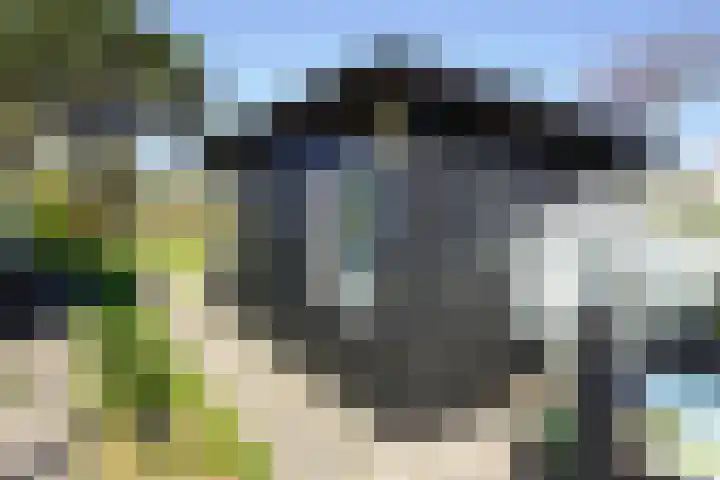 Watermunt 16 Julianadorp thumbnail 18