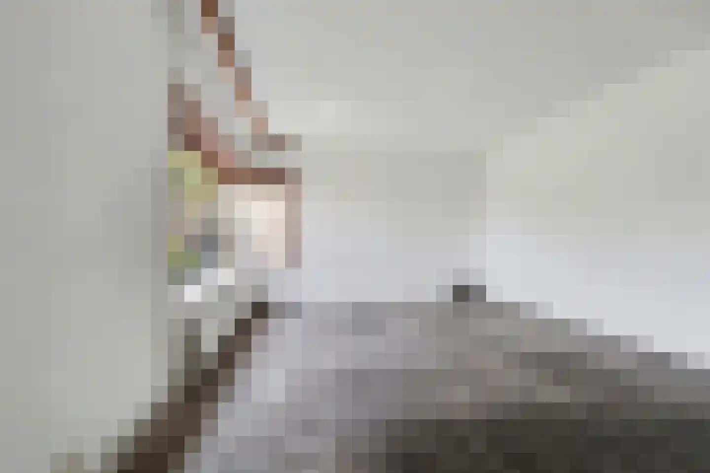 Watermunt 16 Reeuwijk thumbnail 10