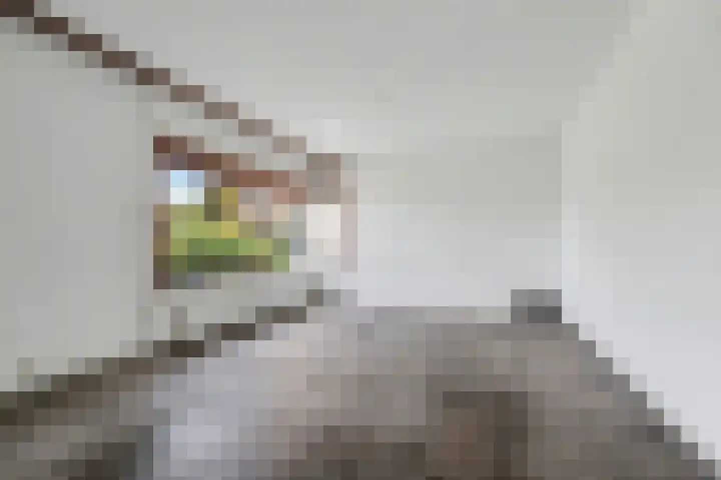 Watermunt 16 Reeuwijk thumbnail 11