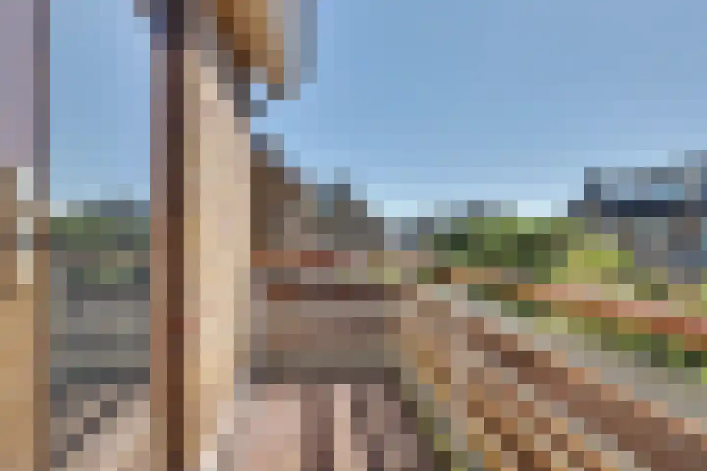Watermunt 16 Reeuwijk thumbnail 36