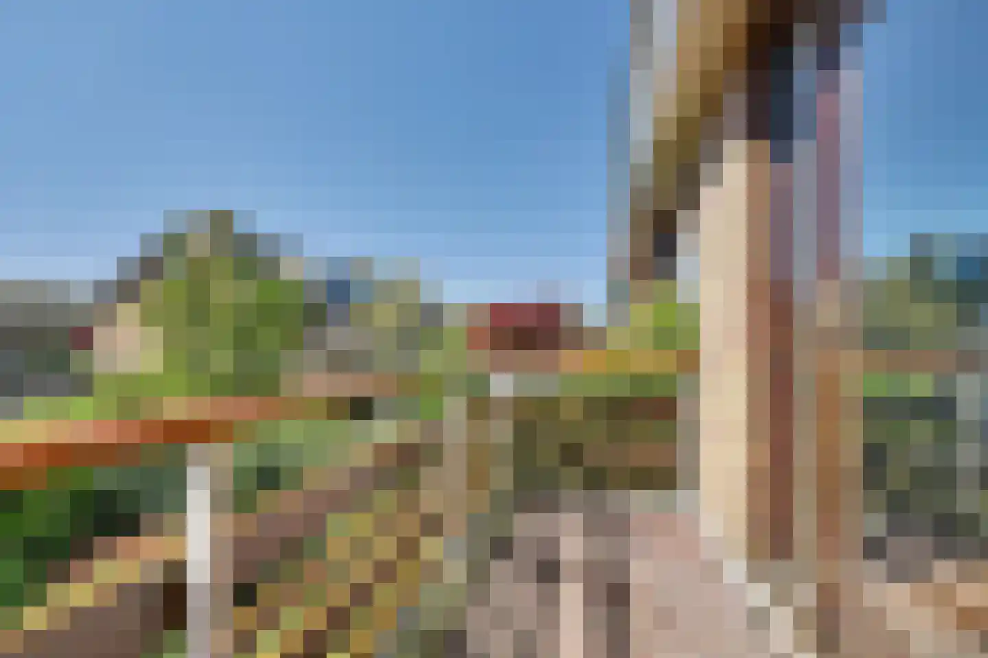 Watermunt 16 Reeuwijk thumbnail 37