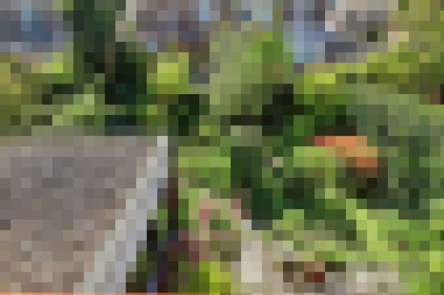Watermunt 16 Reeuwijk thumbnail 38