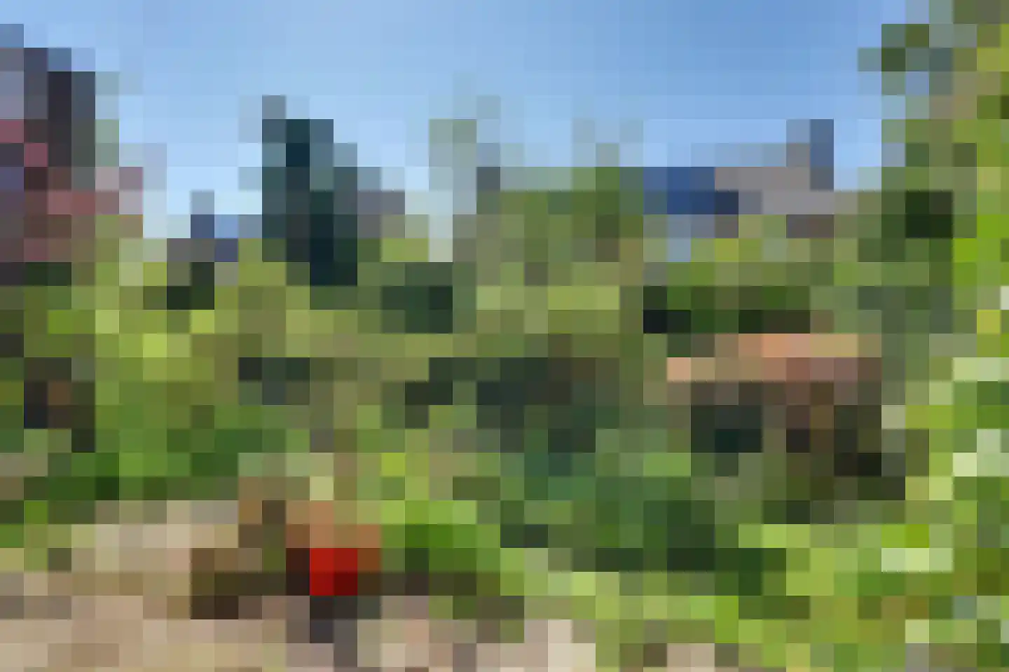 Watermunt 16 Reeuwijk thumbnail 39