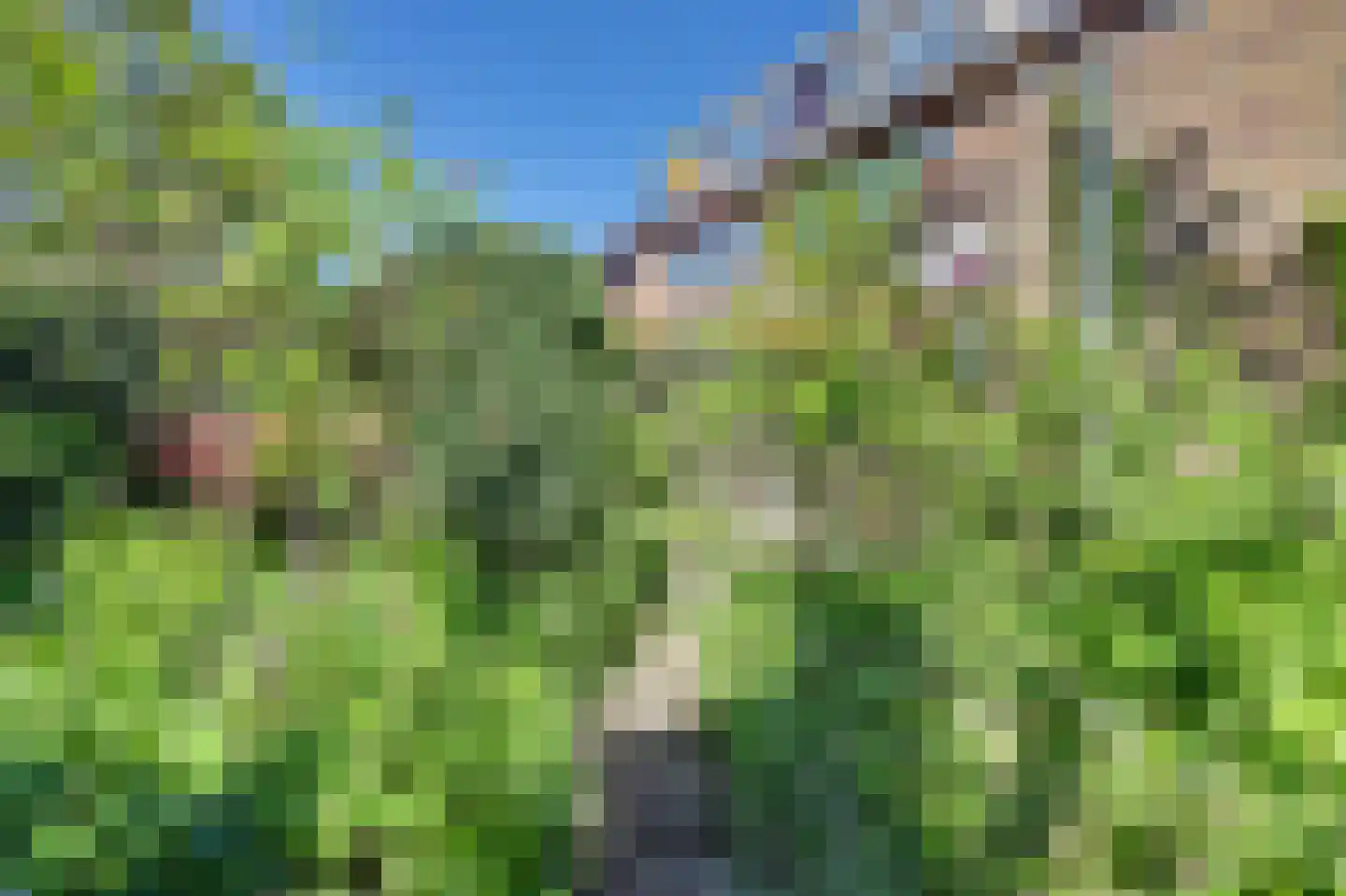 Watermunt 16 Reeuwijk thumbnail 40