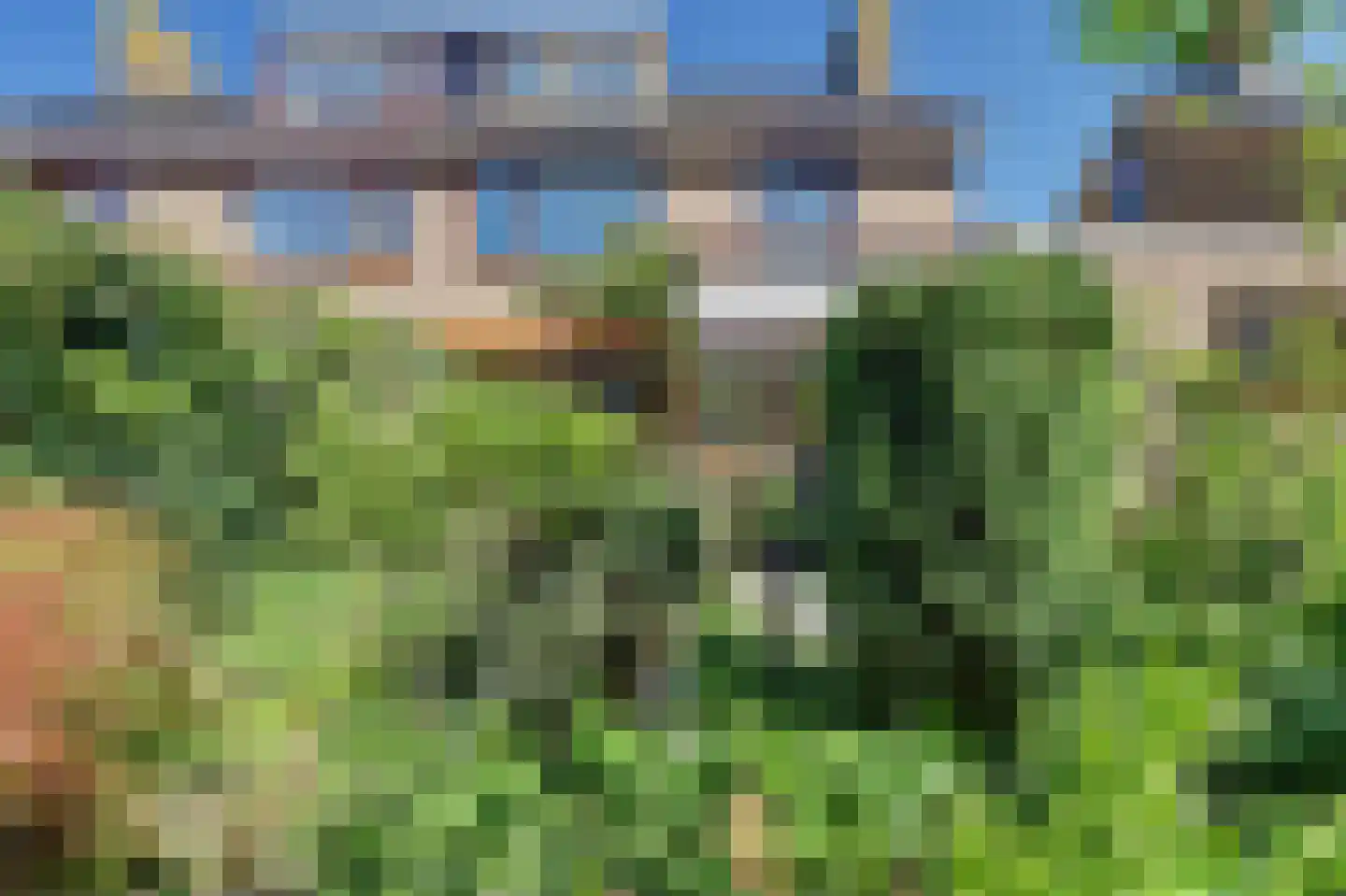 Watermunt 16 Reeuwijk thumbnail 41