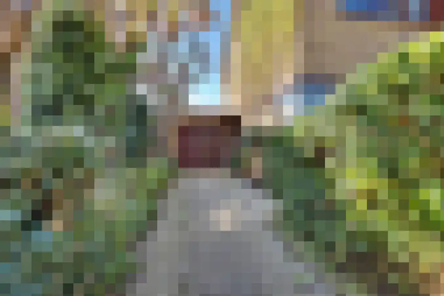 Watermunt 16 Reeuwijk thumbnail 6