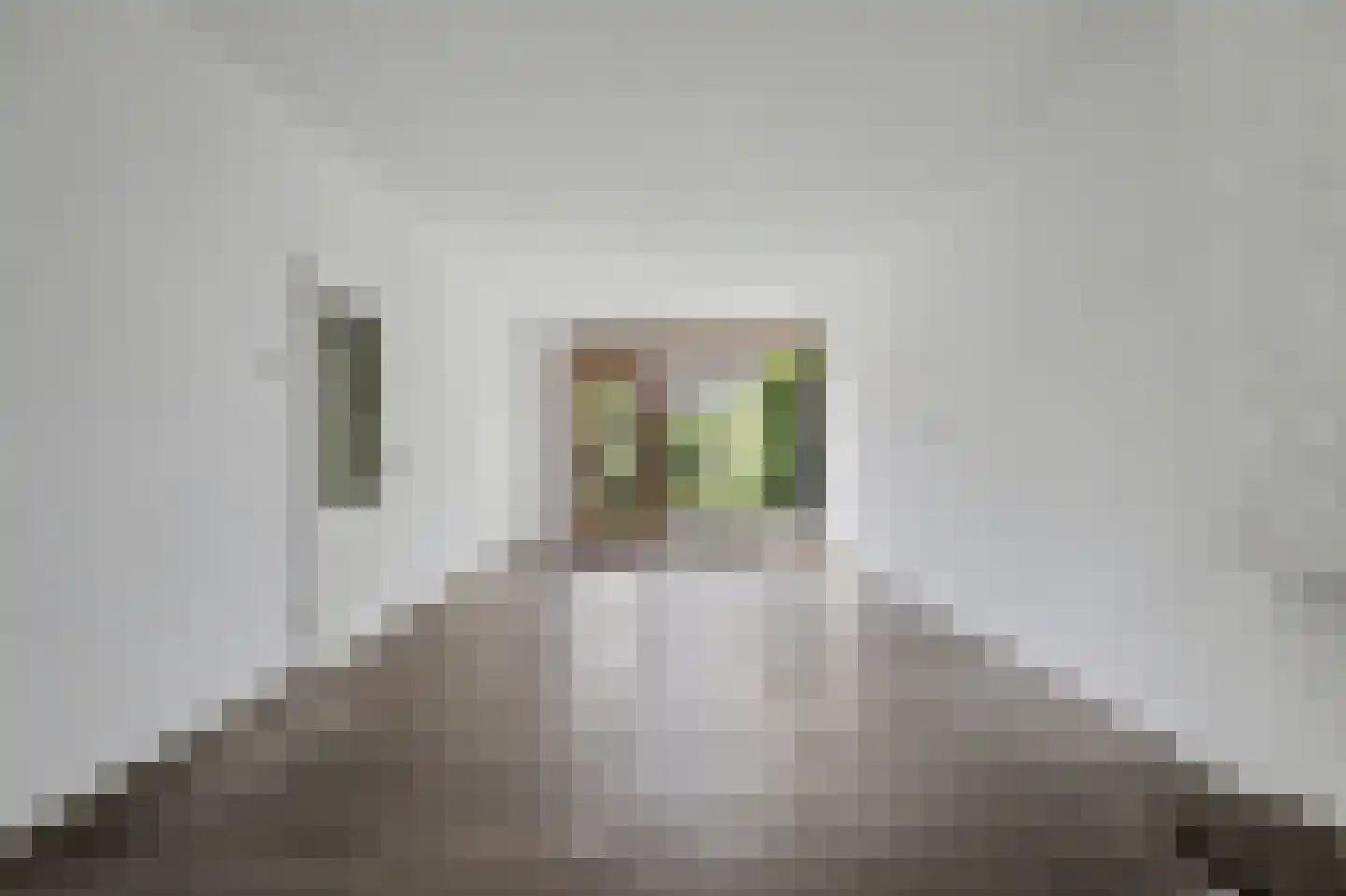 Watermunt 16 Reeuwijk thumbnail 8